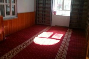 Ağrı Patnos Halı Yardımı